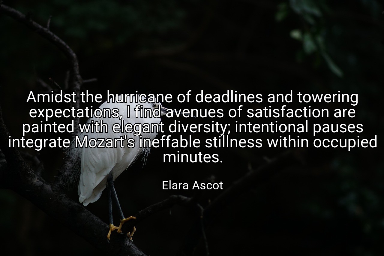 Amidst the hurricane of deadlines and towering expectations, I find avenues of satisfaction are painted with elegant diversity; intentional pauses integrate Mozart's ineffable stillness within occupied minutes. - Elara Ascot