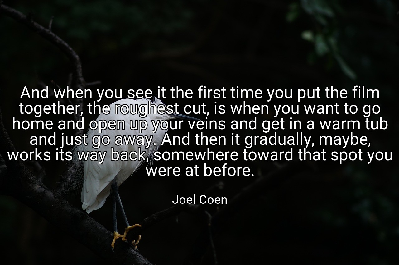 And when you see it the first time you put the film together, the roughest cut, is when you want to go home and open up your veins and get in a warm tub and just go away. And then it gradually, maybe, works its way back, somewhere toward that spot you were at before. - Joel Coen