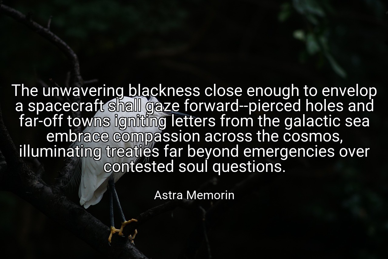 The unwavering blackness close enough to envelop a spacecraft shall gaze forward--pierced holes and far-off towns igniting letters from the galactic sea embrace compassion across the cosmos, illuminating treaties far beyond emergencies over contested soul questions. - Astra Memorin