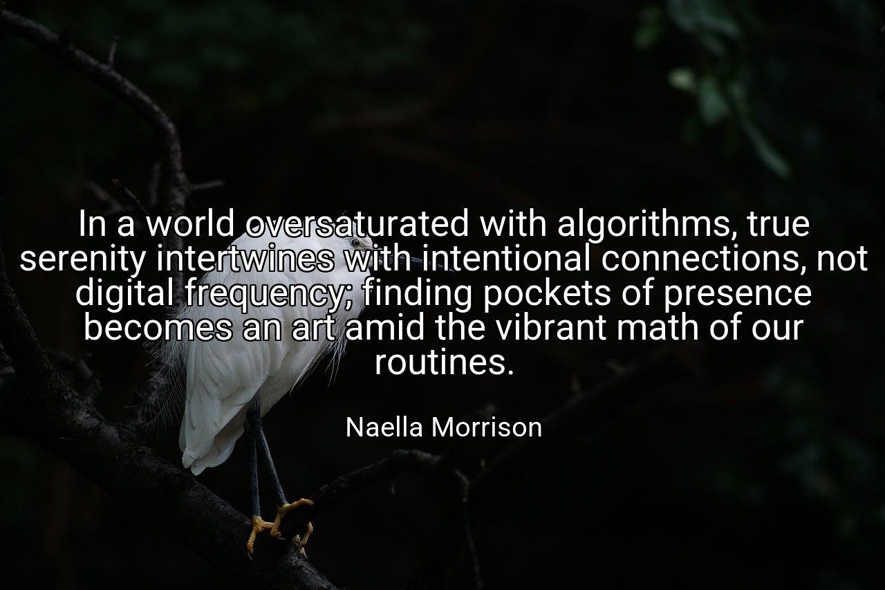 In a world oversaturated with algorithms, true serenity intertwines with intentional connections, not digital frequency; finding pockets of presence becomes an art amid the vibrant math of our routines. - Naella Morrison
