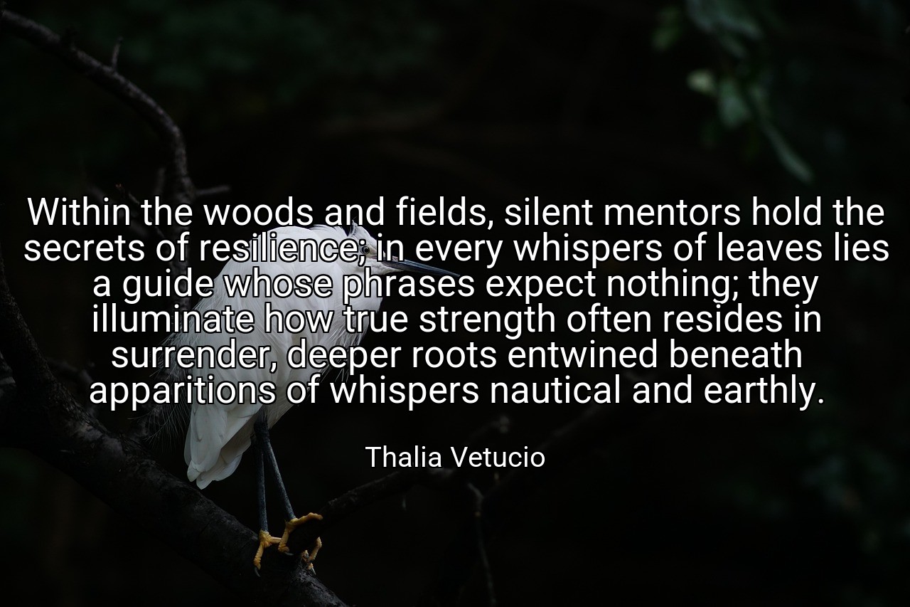 Within the woods and fields, silent mentors hold the secrets of resilience; in every whispers of leaves lies a guide whose phrases expect nothing; they illuminate how true strength often resides in surrender, deeper roots entwined beneath apparitions of whispers nautical and earthly. - Thalia Vetucio