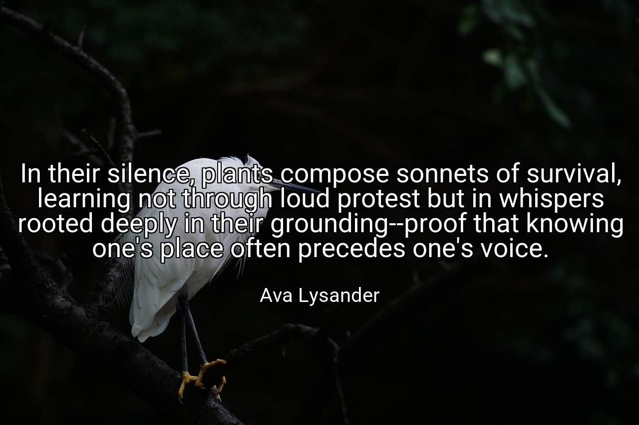 In their silence, plants compose sonnets of survival, learning not through loud protest but in whispers rooted deeply in their grounding--proof that knowing one's place often precedes one's voice. - Ava Lysander