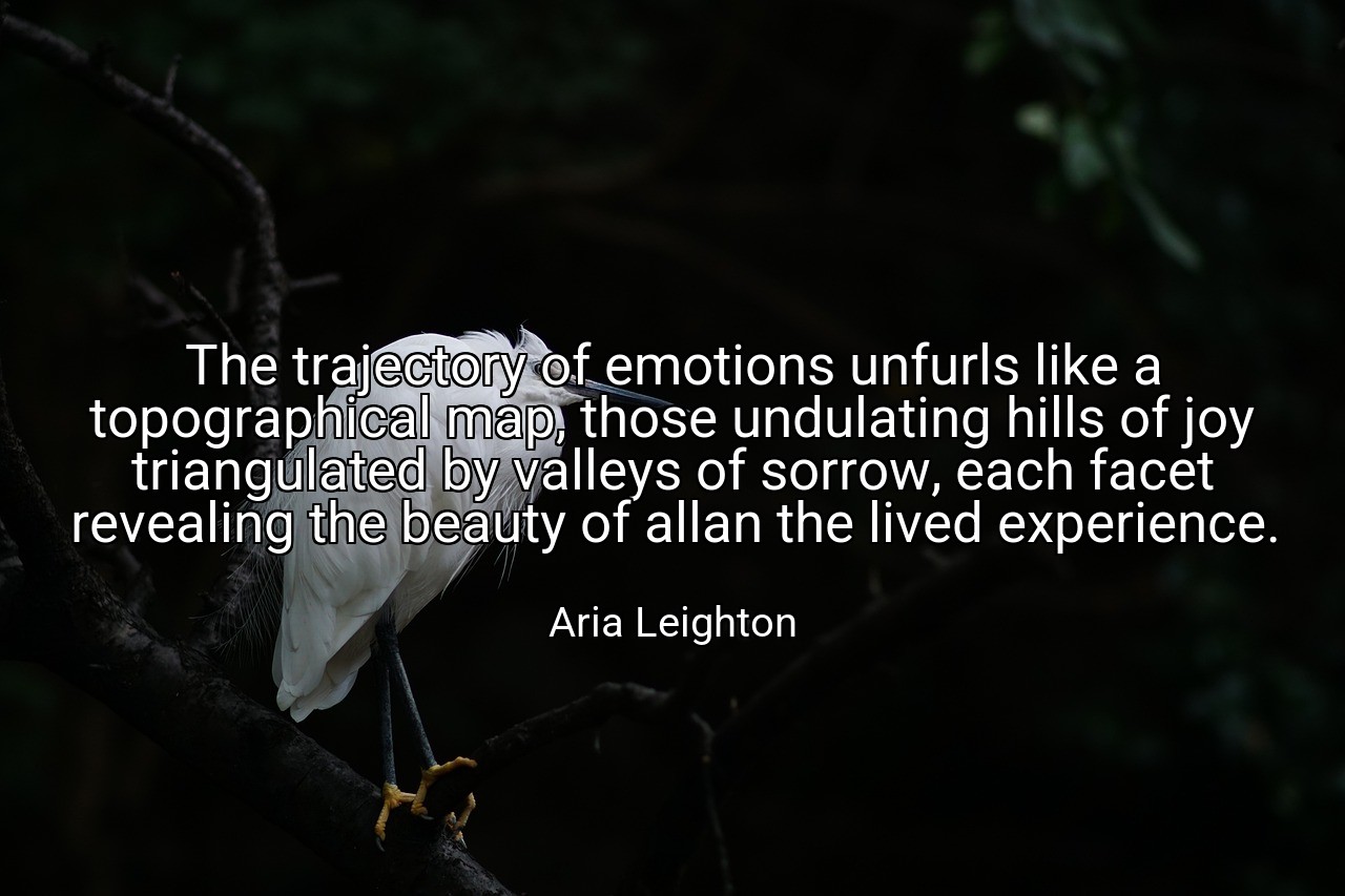 The trajectory of emotions unfurls like a topographical map, those undulating hills of joy triangulated by valleys of sorrow, each facet revealing the beauty of allan the lived experience. - Aria Leighton