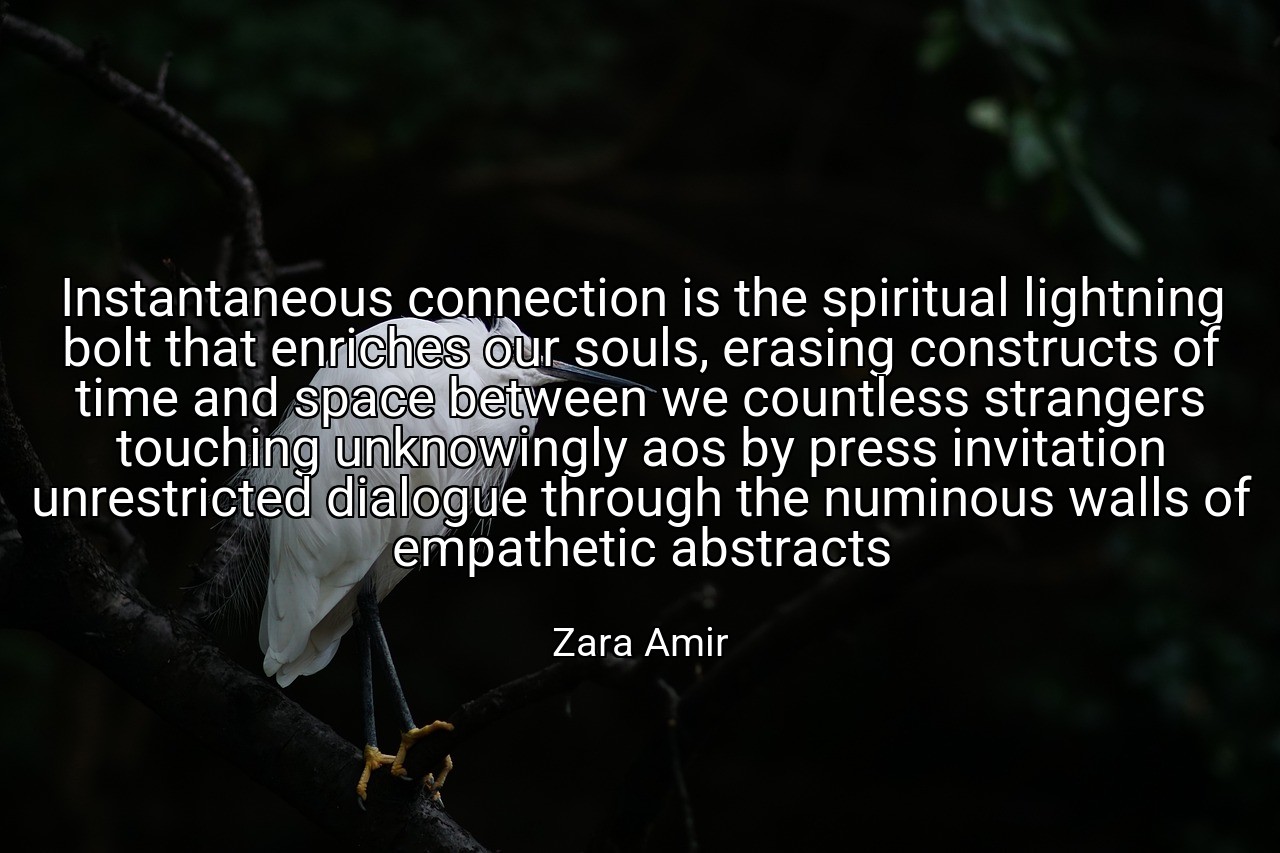Instantaneous connection is the spiritual lightning bolt that enriches our souls, erasing constructs of time and space between we countless strangers touching unknowingly aos by press invitation unrestricted dialogue through the numinous walls of empathetic abstracts - Zara Amir