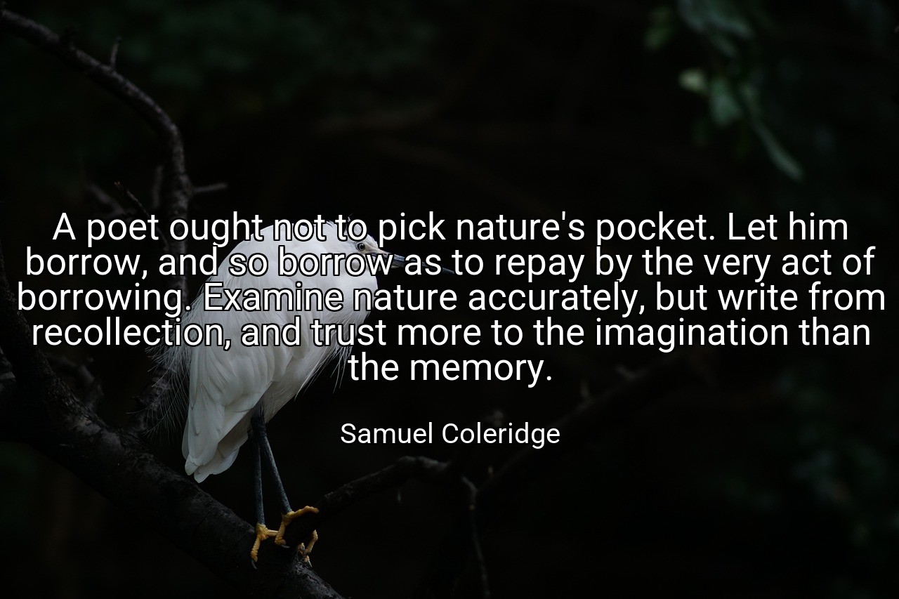 A poet ought not to pick nature's pocket. Let him borrow, and so borrow as to repay by the very act of borrowing. Examine nature accurately, but write from recollection, and trust more to the imagination than the memory. - Samuel Coleridge