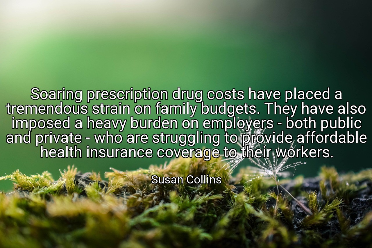 Soaring prescription drug costs have placed a tremendous strain on family budgets. They have also imposed a heavy burden on employers - both public and private - who are struggling to provide affordable health insurance coverage to their workers. - Susan Collins