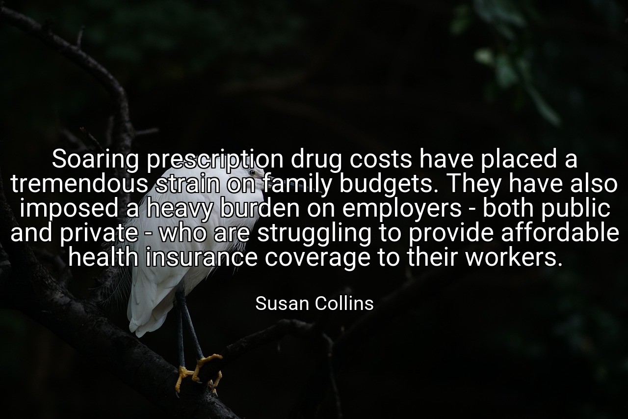 Soaring prescription drug costs have placed a tremendous strain on family budgets. They have also imposed a heavy burden on employers - both public and private - who are struggling to provide affordable health insurance coverage to their workers. - Susan Collins