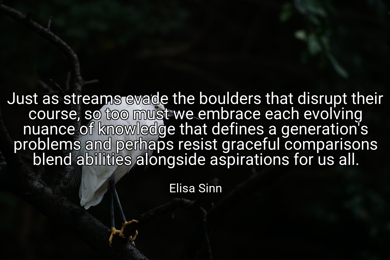 Just as streams evade the boulders that disrupt their course, so too must we embrace each evolving nuance of knowledge that defines a generation's problems and perhaps resist graceful comparisons blend abilities alongside aspirations for us all. - Elisa Sinn