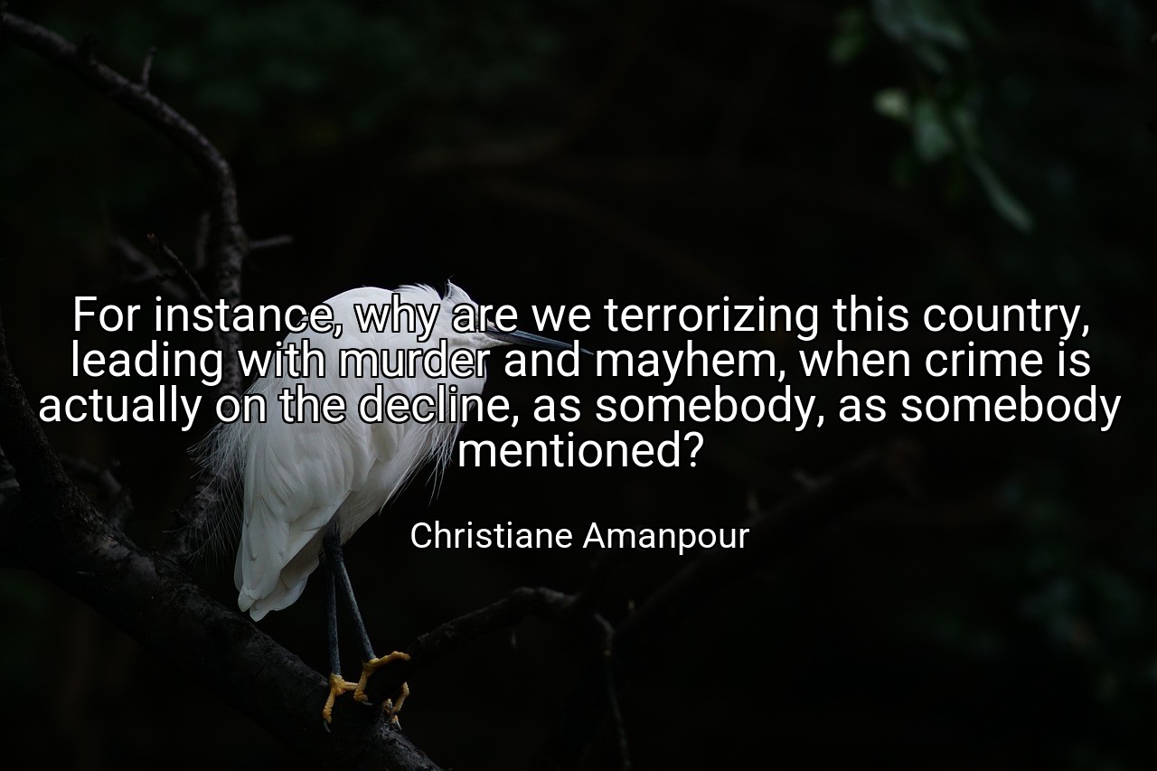 For instance, why are we terrorizing this country, leading with murder and mayhem, when crime is actually on the decline, as somebody, as somebody mentioned? - Christiane Amanpour
