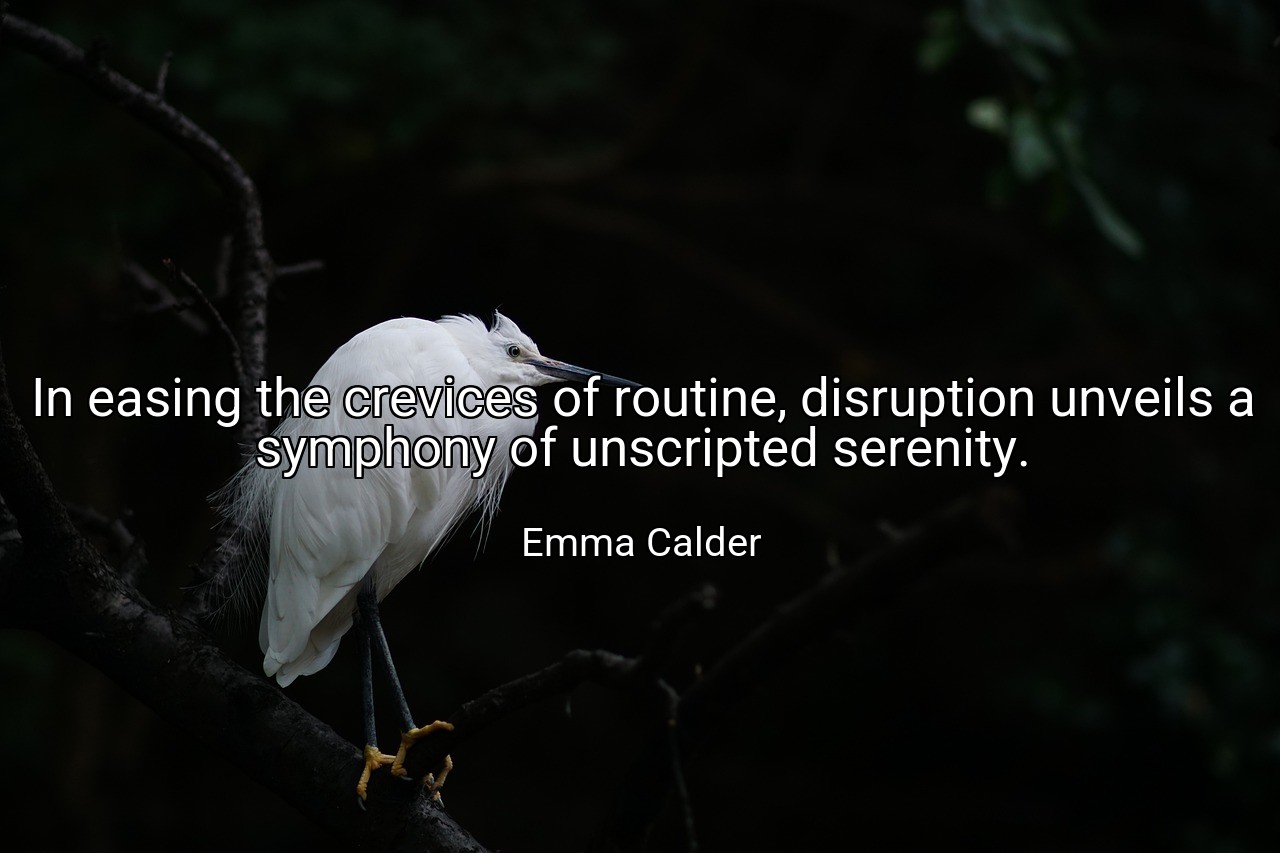 In easing the crevices of routine, disruption unveils a symphony of unscripted serenity. - Emma Calder