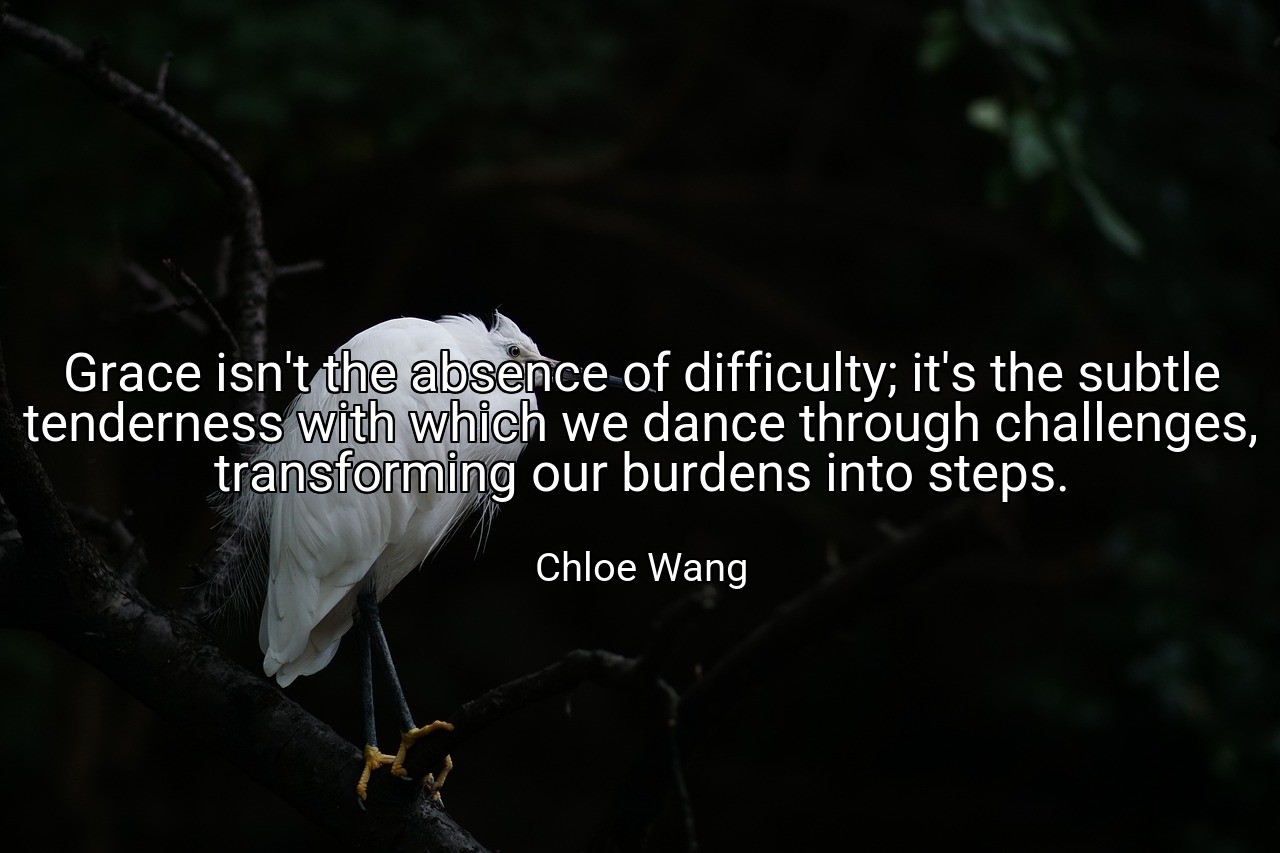 Grace isn't the absence of difficulty; it's the subtle tenderness with which we dance through challenges, transforming our burdens into steps. - Chloe Wang