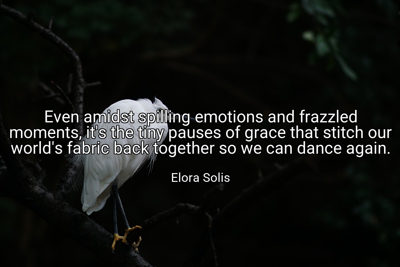Even amidst spilling emotions and frazzled moments, it's the tiny pauses of grace that stitch our world's fabric back together so we can dance again. - Elora Solis