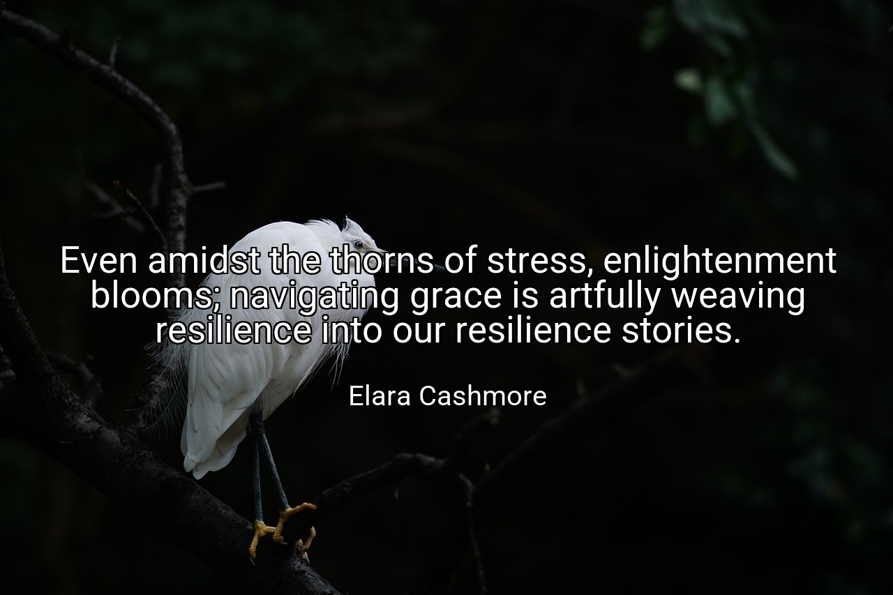 Even amidst the thorns of stress, enlightenment blooms; navigating grace is artfully weaving resilience into our resilience stories. - Elara Cashmore