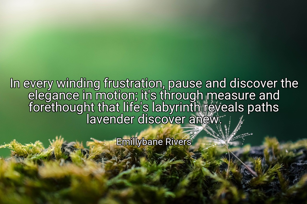 In every winding frustration, pause and discover the elegance in motion; it's through measure and forethought that life's labyrinth reveals paths lavender discover anew. - Emillybane Rivers