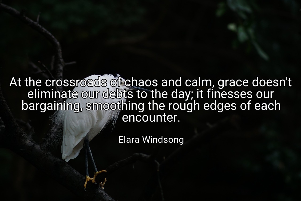 At the crossroads of chaos and calm, grace doesn't eliminate our debts to the day; it finesses our bargaining, smoothing the rough edges of each encounter. - Elara Windsong