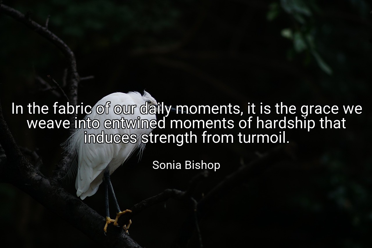In the fabric of our daily moments, it is the grace we weave into entwined moments of hardship that induces strength from turmoil. - Sonia Bishop