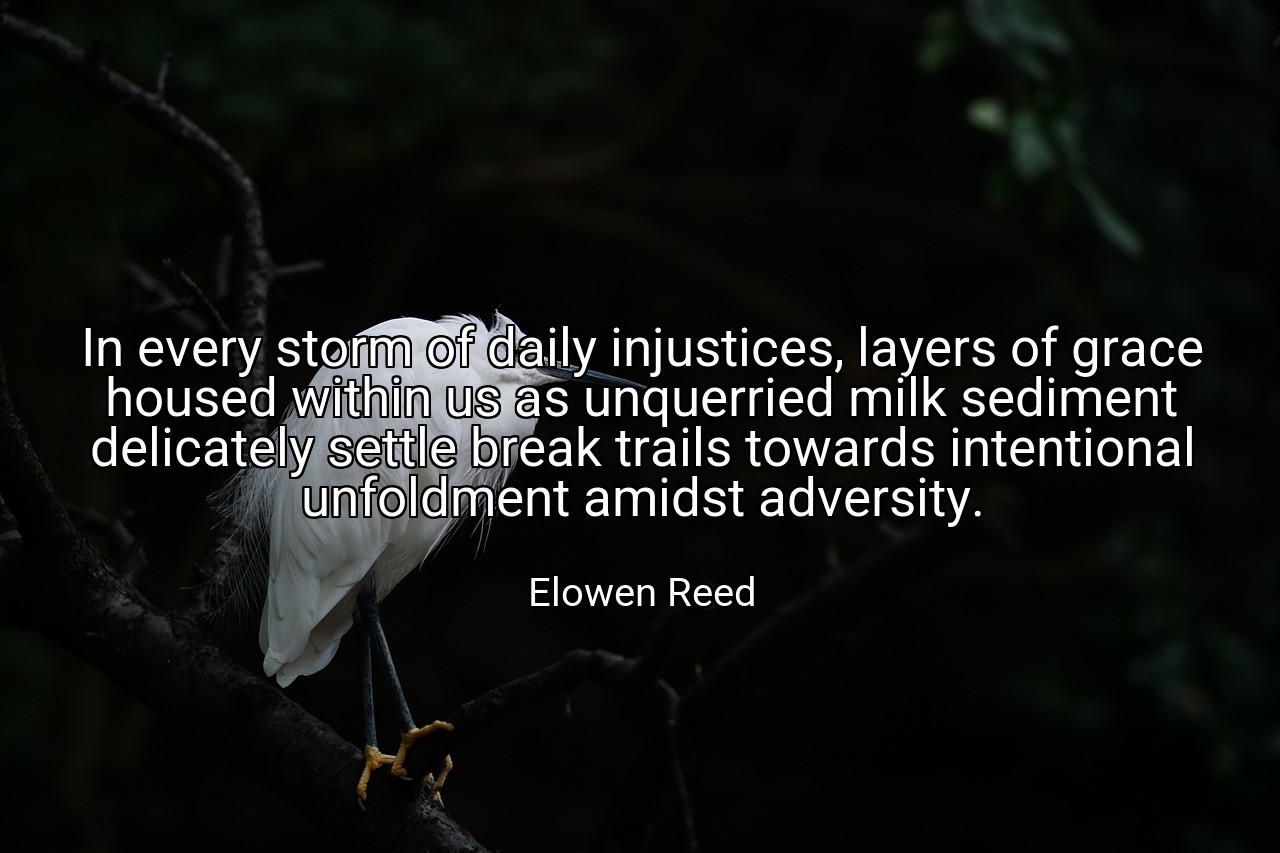 In every storm of daily injustices, layers of grace housed within us as unquerried milk sediment delicately settle break trails towards intentional unfoldment amidst adversity. - Elowen Reed
