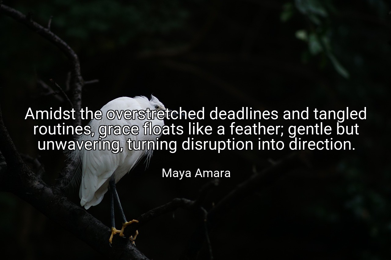 Amidst the overstretched deadlines and tangled routines, grace floats like a feather; gentle but unwavering, turning disruption into direction. - Maya Amara