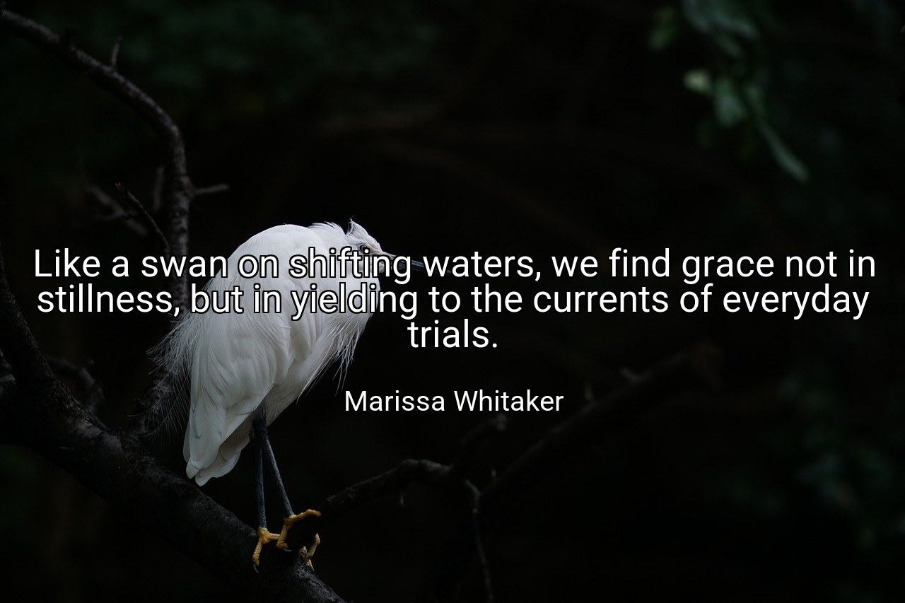 Like a swan on shifting waters, we find grace not in stillness, but in yielding to the currents of everyday trials. - Marissa Whitaker