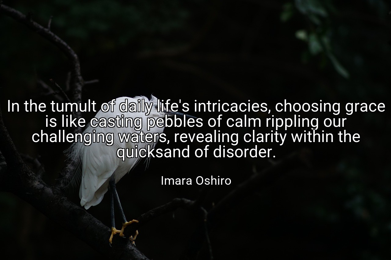 In the tumult of daily life's intricacies, choosing grace is like casting pebbles of calm rippling our challenging waters, revealing clarity within the quicksand of disorder. - Imara Oshiro