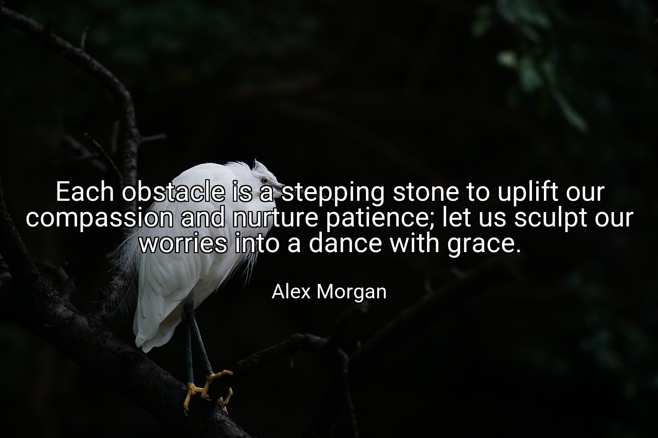 Each obstacle is a stepping stone to uplift our compassion and nurture patience; let us sculpt our worries into a dance with grace. - Alex Morgan