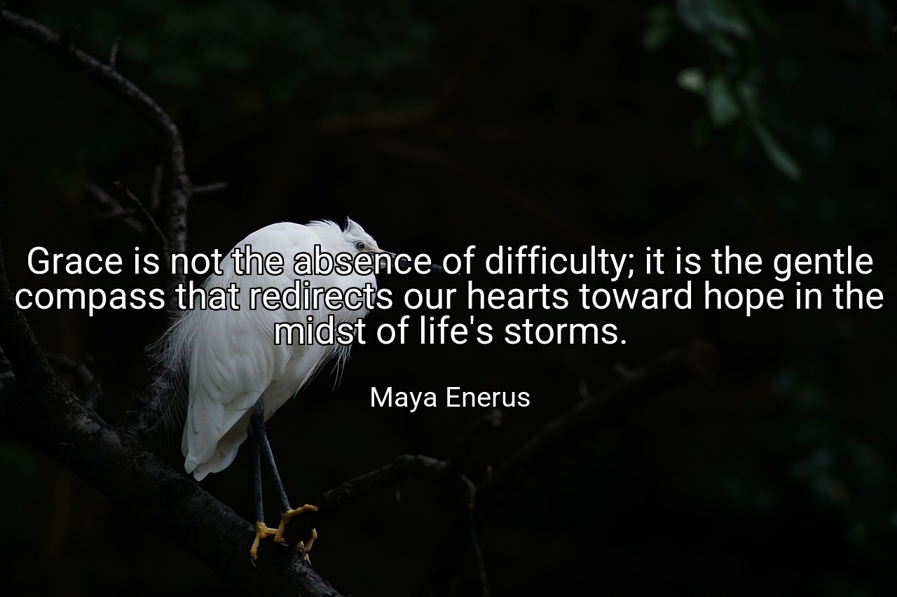 Grace is not the absence of difficulty; it is the gentle compass that redirects our hearts toward hope in the midst of life's storms. - Maya Enerus
