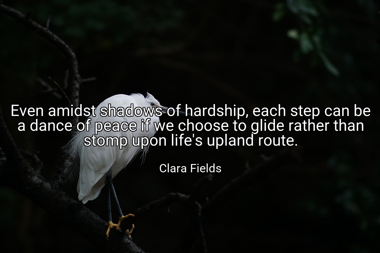 Even amidst shadows of hardship, each step can be a dance of peace if we choose to glide rather than stomp upon life's upland route. - Clara Fields