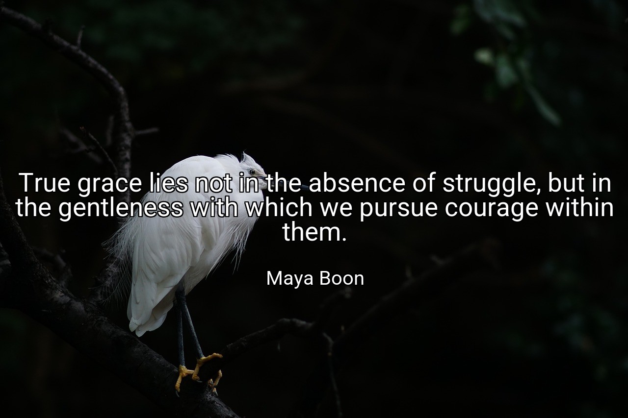 True grace lies not in the absence of struggle, but in the gentleness with which we pursue courage within them. - Maya Boon
