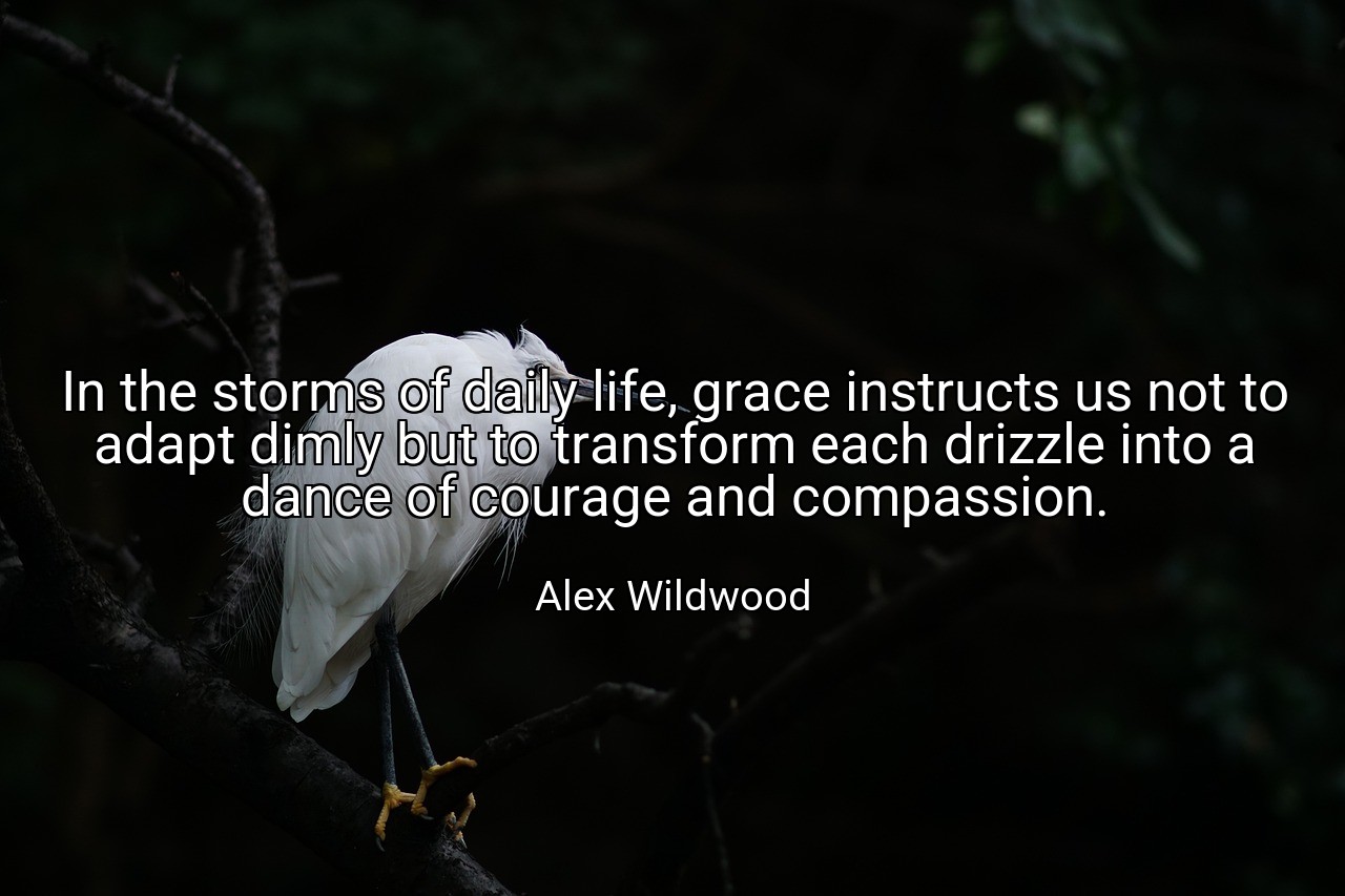 In the storms of daily life, grace instructs us not to adapt dimly but to transform each drizzle into a dance of courage and compassion. - Alex Wildwood