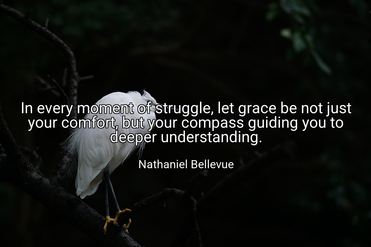 In every moment of struggle, let grace be not just your comfort, but your compass guiding you to deeper understanding. - Nathaniel Bellevue