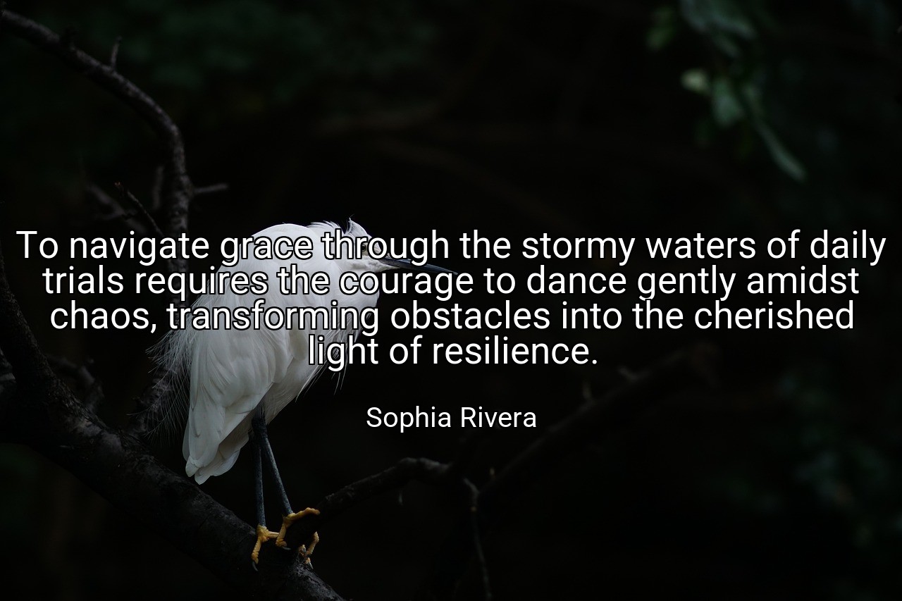 To navigate grace through the stormy waters of daily trials requires the courage to dance gently amidst chaos, transforming obstacles into the cherished light of resilience. - Sophia Rivera