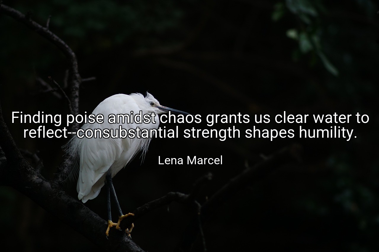 Finding poise amidst chaos grants us clear water to reflect--consubstantial strength shapes humility. - Lena Marcel