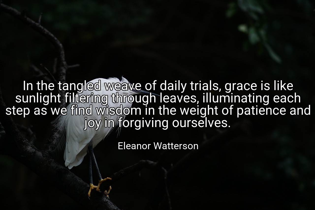 In the tangled weave of daily trials, grace is like sunlight filtering through leaves, illuminating each step as we find wisdom in the weight of patience and joy in forgiving ourselves. - Eleanor Watterson