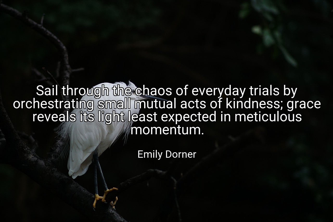 Sail through the chaos of everyday trials by orchestrating small mutual acts of kindness; grace reveals its light least expected in meticulous momentum. - Emily Dorner