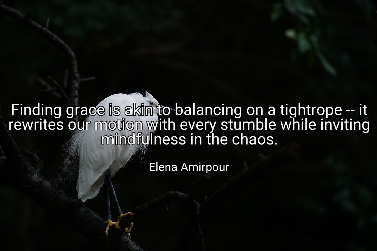 Finding grace is akin to balancing on a tightrope -- it rewrites our motion with every stumble while inviting mindfulness in the chaos. - Elena Amirpour