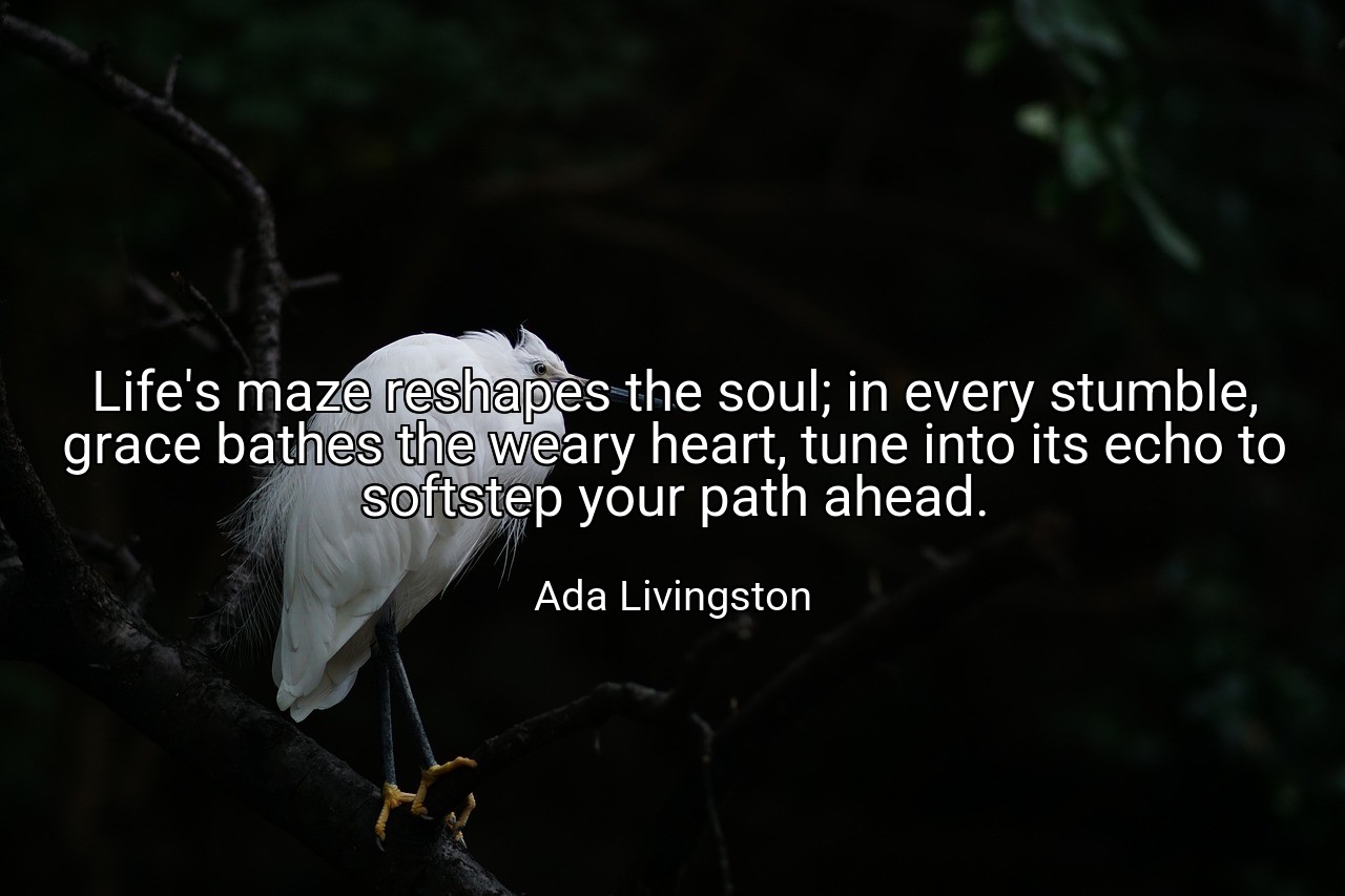 Life's maze reshapes the soul; in every stumble, grace bathes the weary heart, tune into its echo to softstep your path ahead. - Ada Livingston