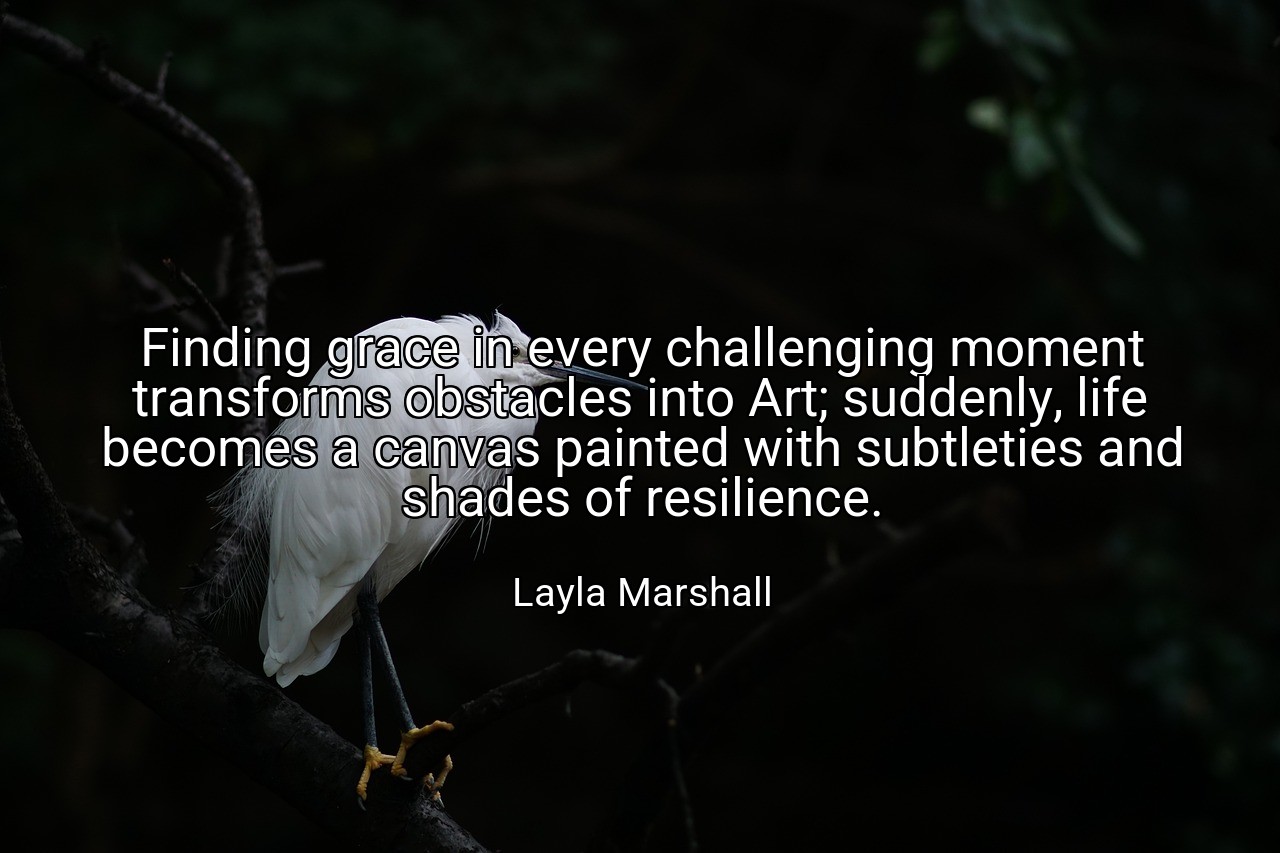 Finding grace in every challenging moment transforms obstacles into Art; suddenly, life becomes a canvas painted with subtleties and shades of resilience. - Layla Marshall