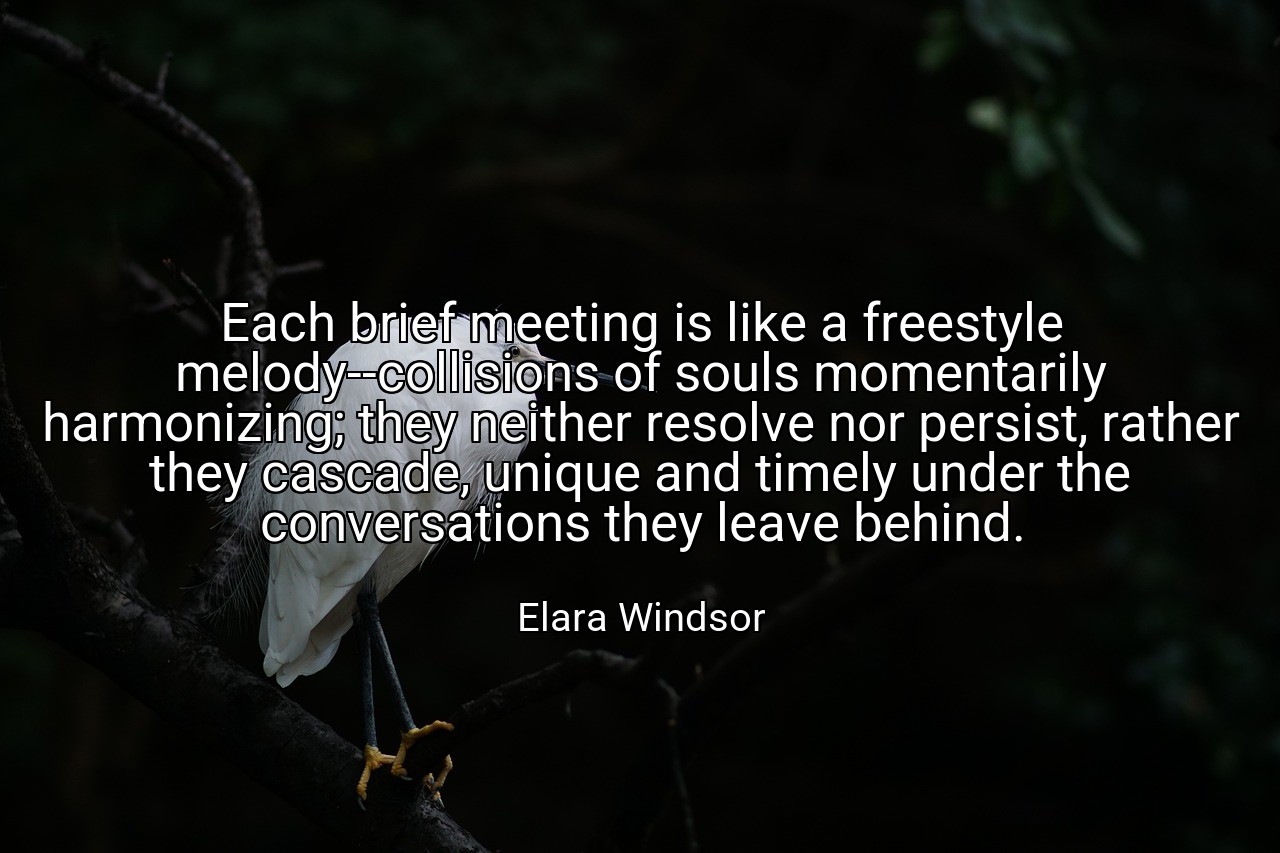 Each brief meeting is like a freestyle melody--collisions of souls momentarily harmonizing; they neither resolve nor persist, rather they cascade, unique and timely under the conversations they leave behind. - Elara Windsor