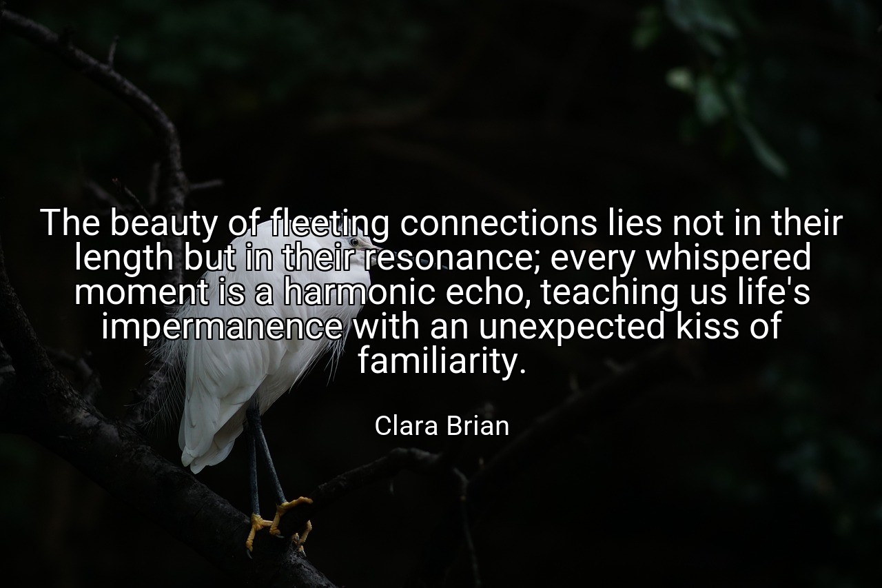 The beauty of fleeting connections lies not in their length but in their resonance; every whispered moment is a harmonic echo, teaching us life's impermanence with an unexpected kiss of familiarity. - Clara Brian