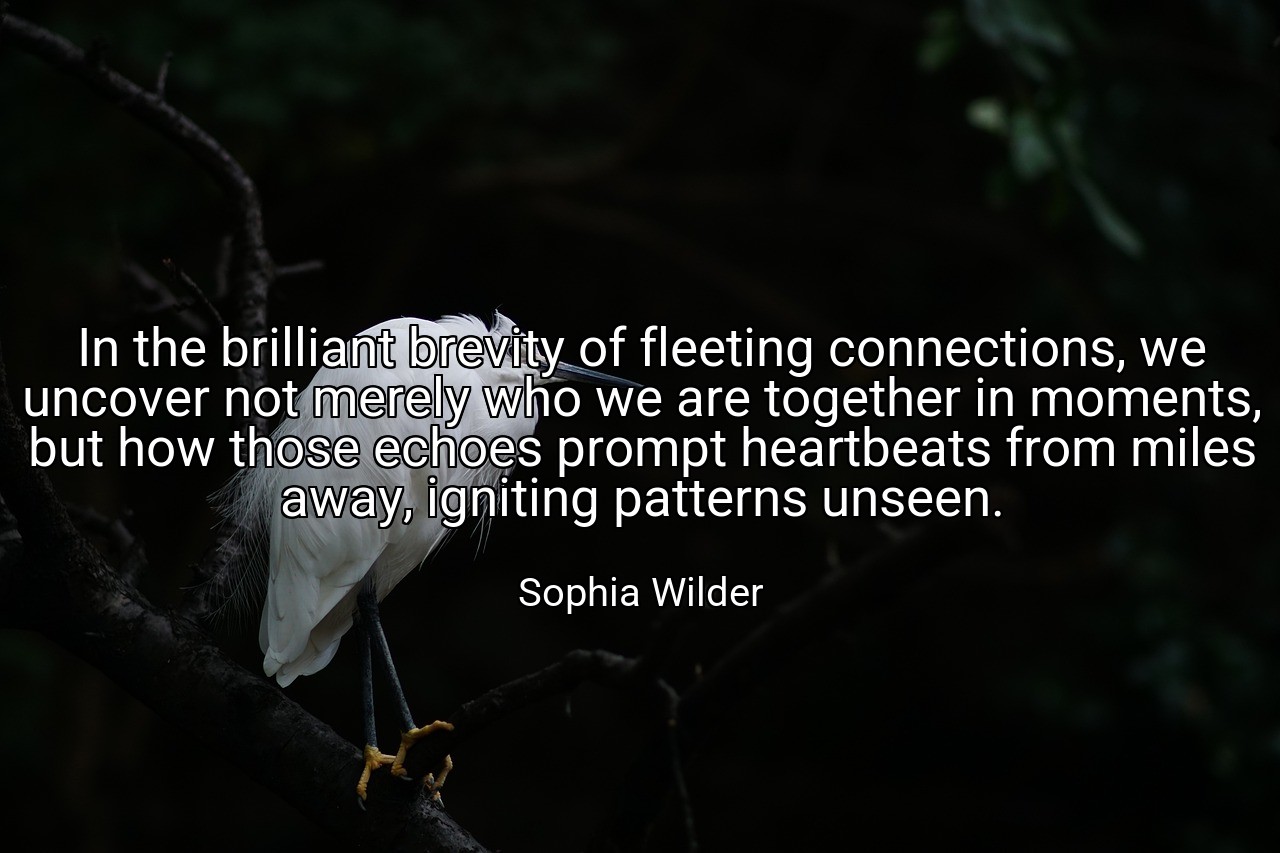 In the brilliant brevity of fleeting connections, we uncover not merely who we are together in moments, but how those echoes prompt heartbeats from miles away, igniting patterns unseen. - Sophia Wilder