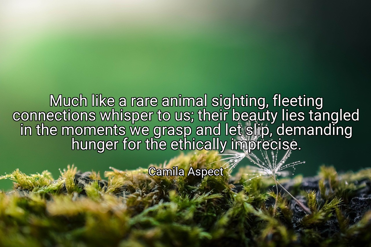 Much like a rare animal sighting, fleeting connections whisper to us; their beauty lies tangled in the moments we grasp and let slip, demanding hunger for the ethically imprecise. - Camila Aspect