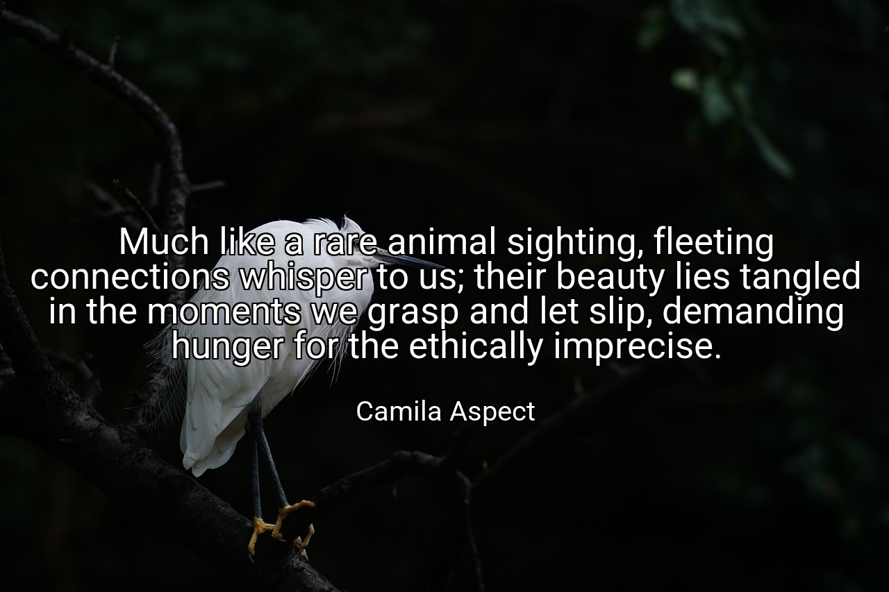 Much like a rare animal sighting, fleeting connections whisper to us; their beauty lies tangled in the moments we grasp and let slip, demanding hunger for the ethically imprecise. - Camila Aspect
