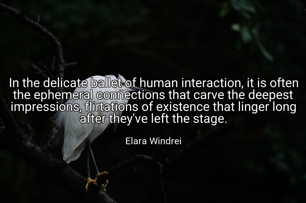 In the delicate ballet of human interaction, it is often the ephemeral connections that carve the deepest impressions, flirtations of existence that linger long after they've left the stage. - Elara Windrei