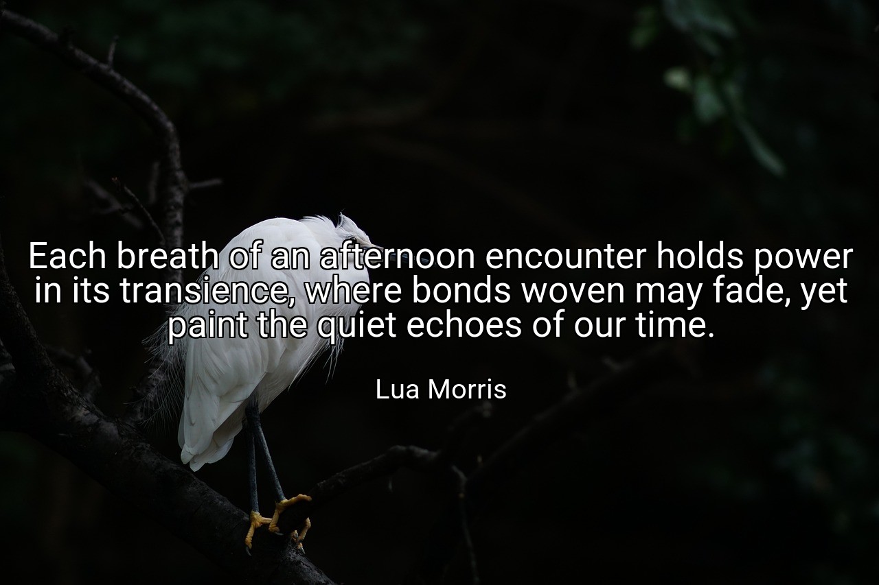 Each breath of an afternoon encounter holds power in its transience, where bonds woven may fade, yet paint the quiet echoes of our time. - Lua Morris