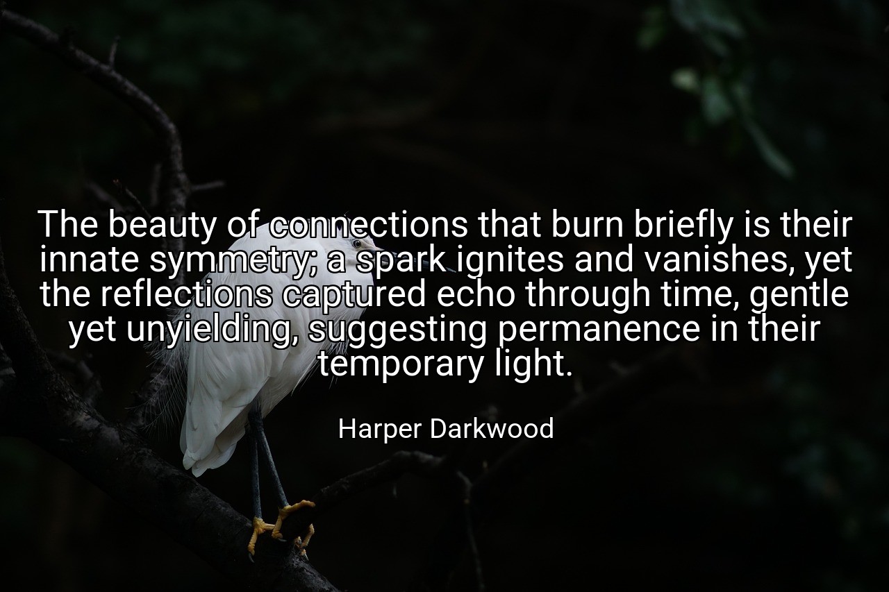 The beauty of connections that burn briefly is their innate symmetry; a spark ignites and vanishes, yet the reflections captured echo through time, gentle yet unyielding, suggesting permanence in their temporary light. - Harper Darkwood