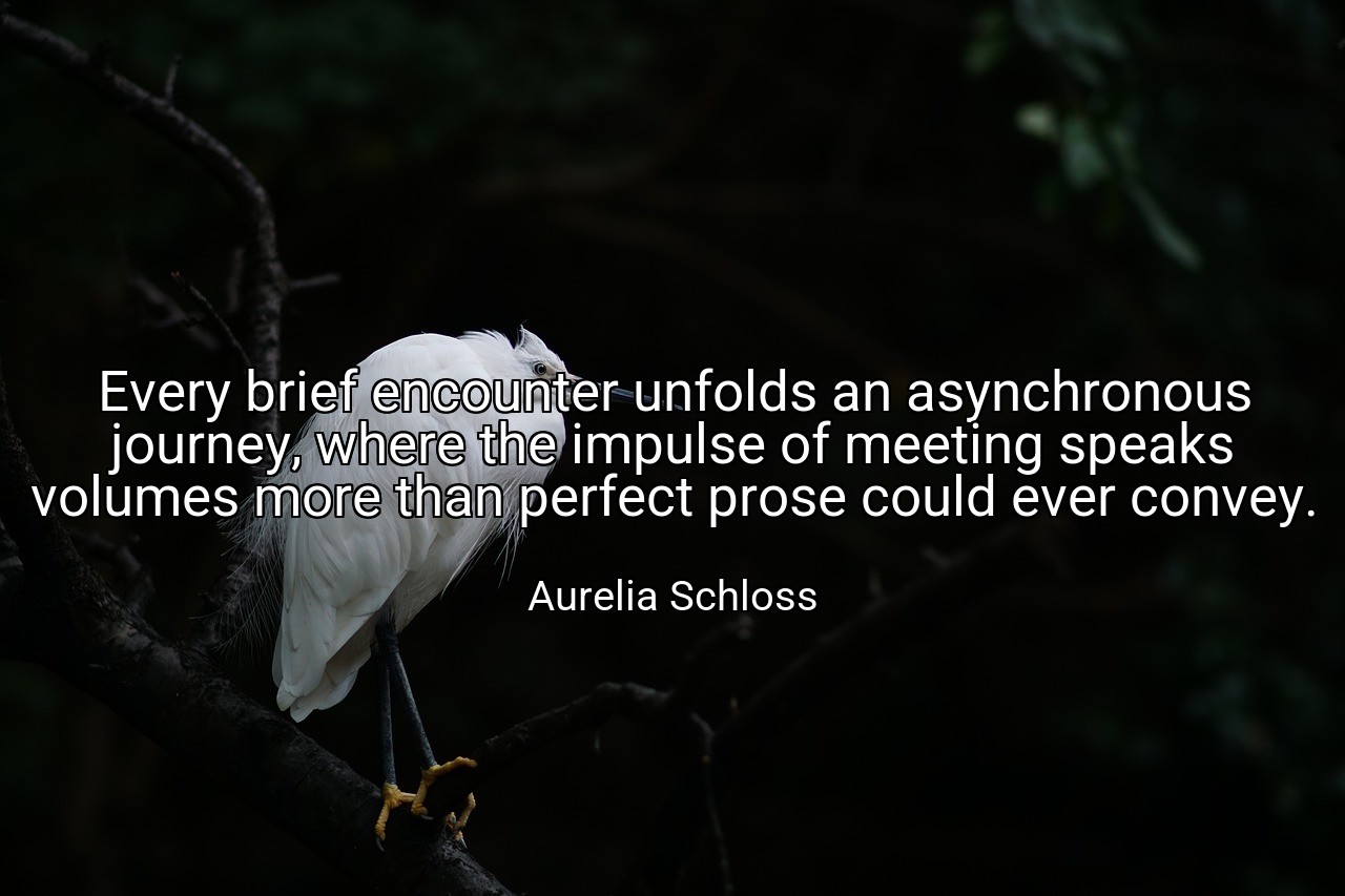 Every brief encounter unfolds an asynchronous journey, where the impulse of meeting speaks volumes more than perfect prose could ever convey. - Aurelia Schloss