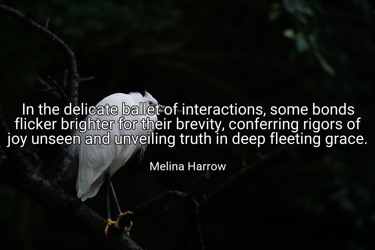 In the delicate ballet of interactions, some bonds flicker brighter for their brevity, conferring rigors of joy unseen and unveiling truth in deep fleeting grace. - Melina Harrow