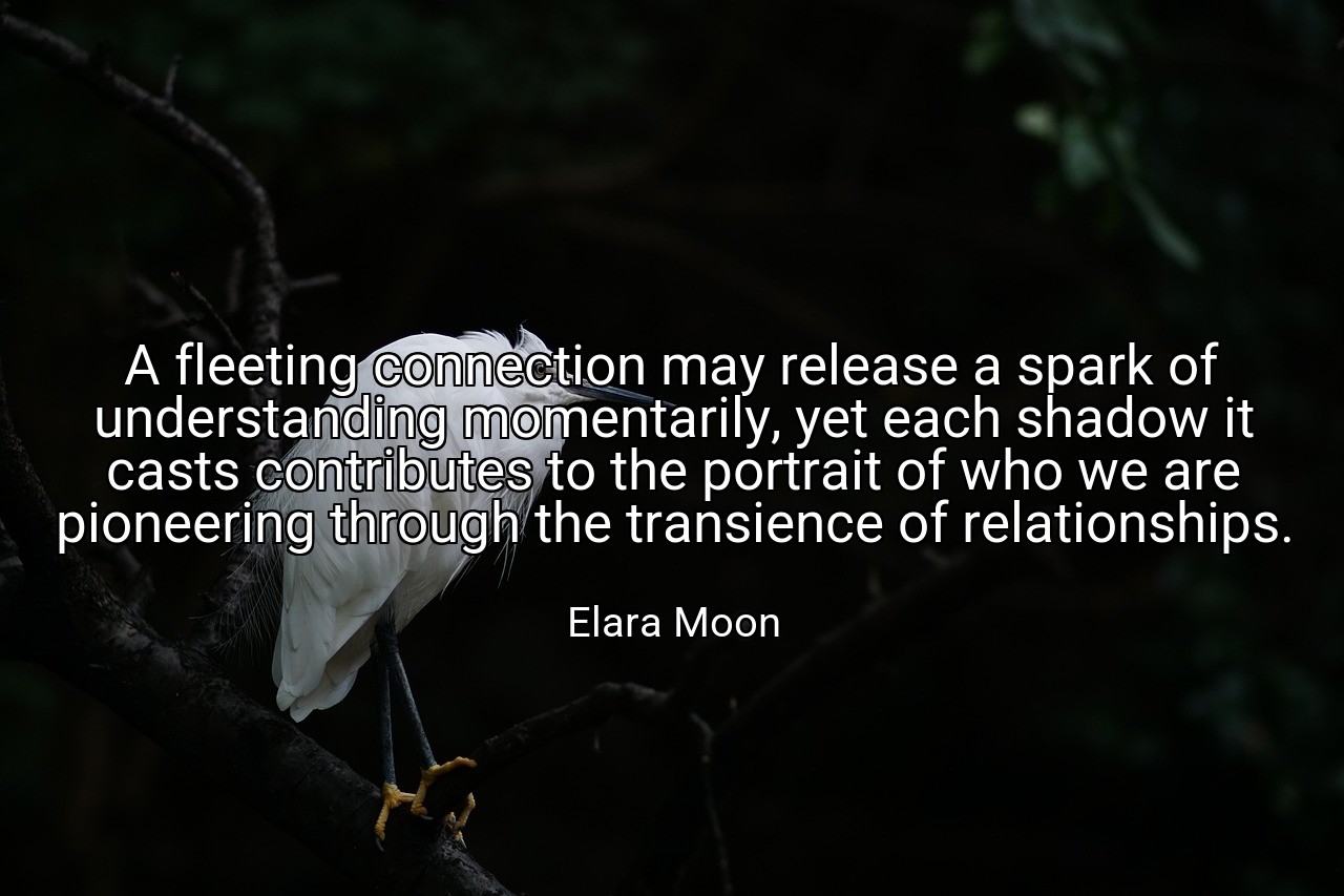 A fleeting connection may release a spark of understanding momentarily, yet each shadow it casts contributes to the portrait of who we are pioneering through the transience of relationships. - Elara Moon