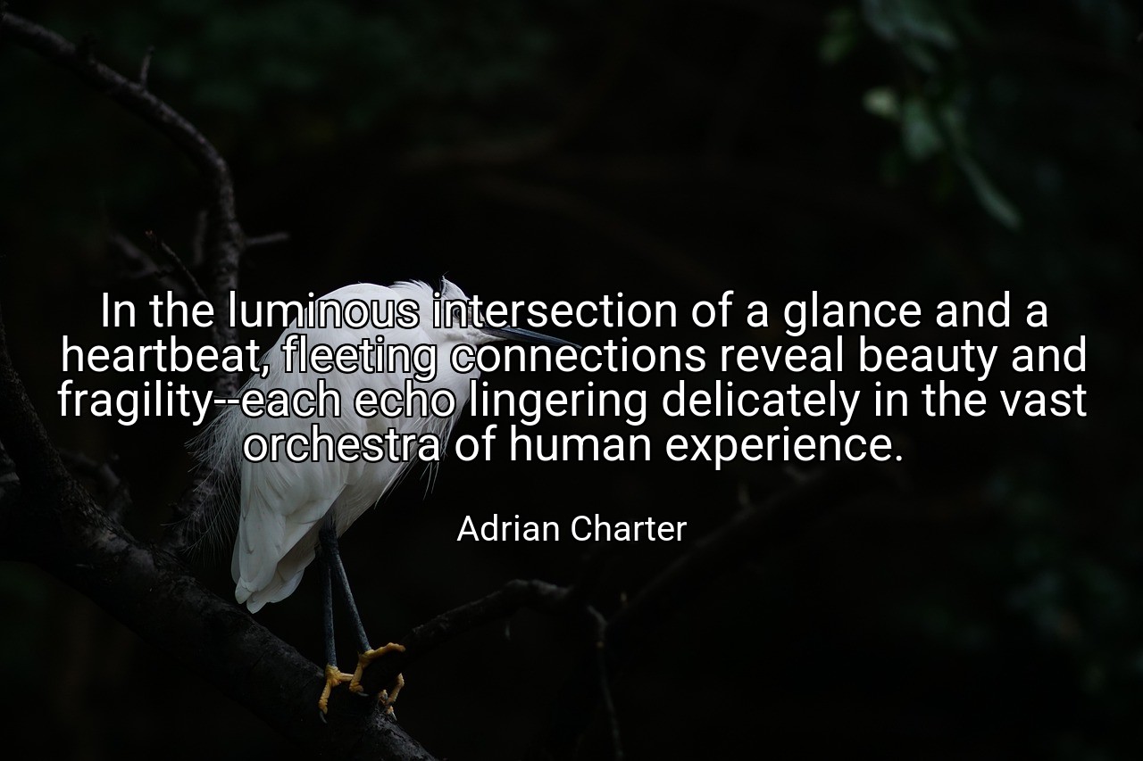 In the luminous intersection of a glance and a heartbeat, fleeting connections reveal beauty and fragility--each echo lingering delicately in the vast orchestra of human experience. - Adrian Charter