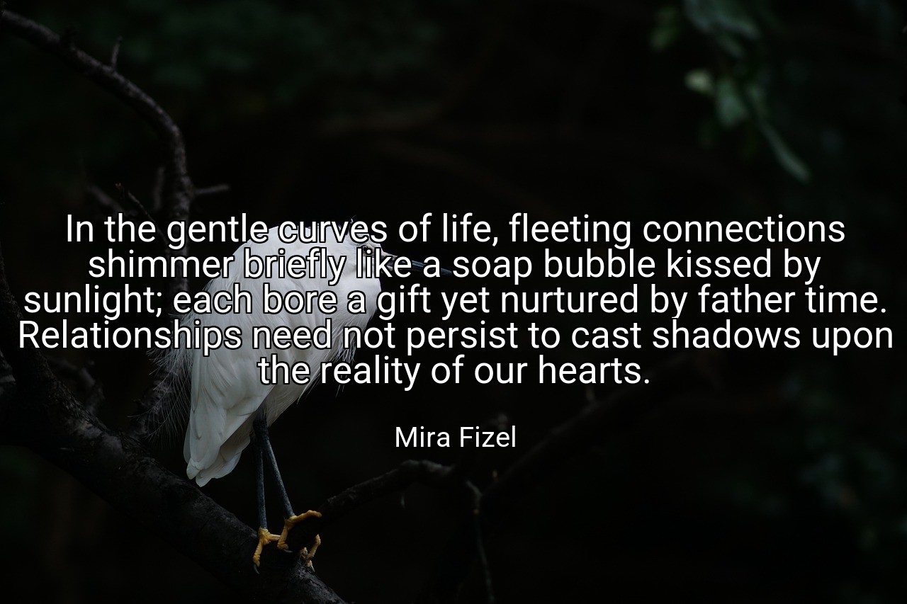 In the gentle curves of life, fleeting connections shimmer briefly like a soap bubble kissed by sunlight; each bore a gift yet nurtured by father time. Relationships need not persist to cast shadows upon the reality of our hearts. - Mira Fizel